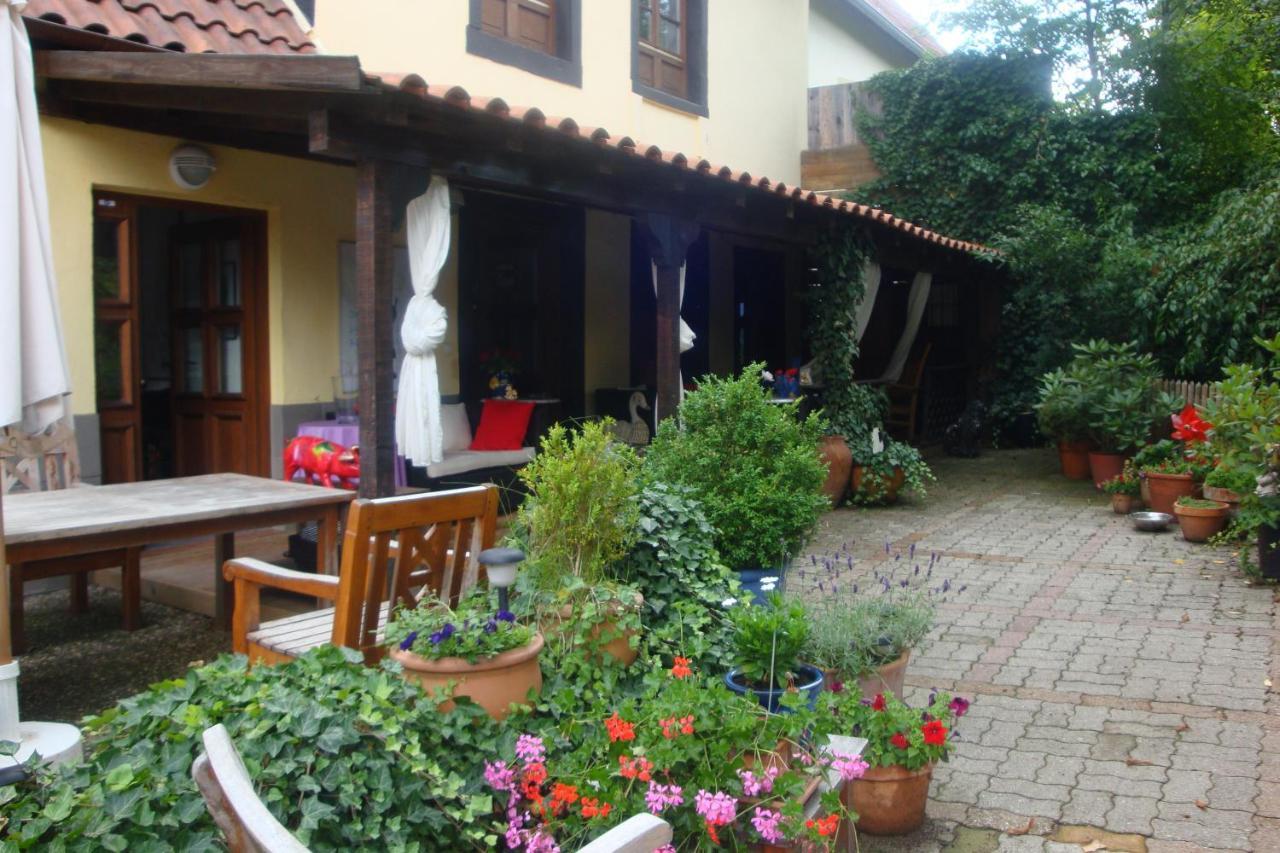 Apartement De Vacances Alsace - Ferienwohnung Elsass - Holiday Apartment Alsace Bischwiller المظهر الخارجي الصورة