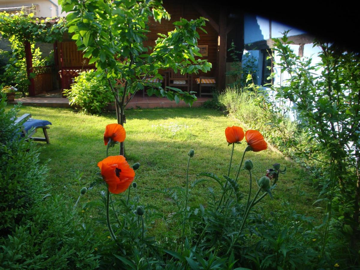 Apartement De Vacances Alsace - Ferienwohnung Elsass - Holiday Apartment Alsace Bischwiller المظهر الخارجي الصورة