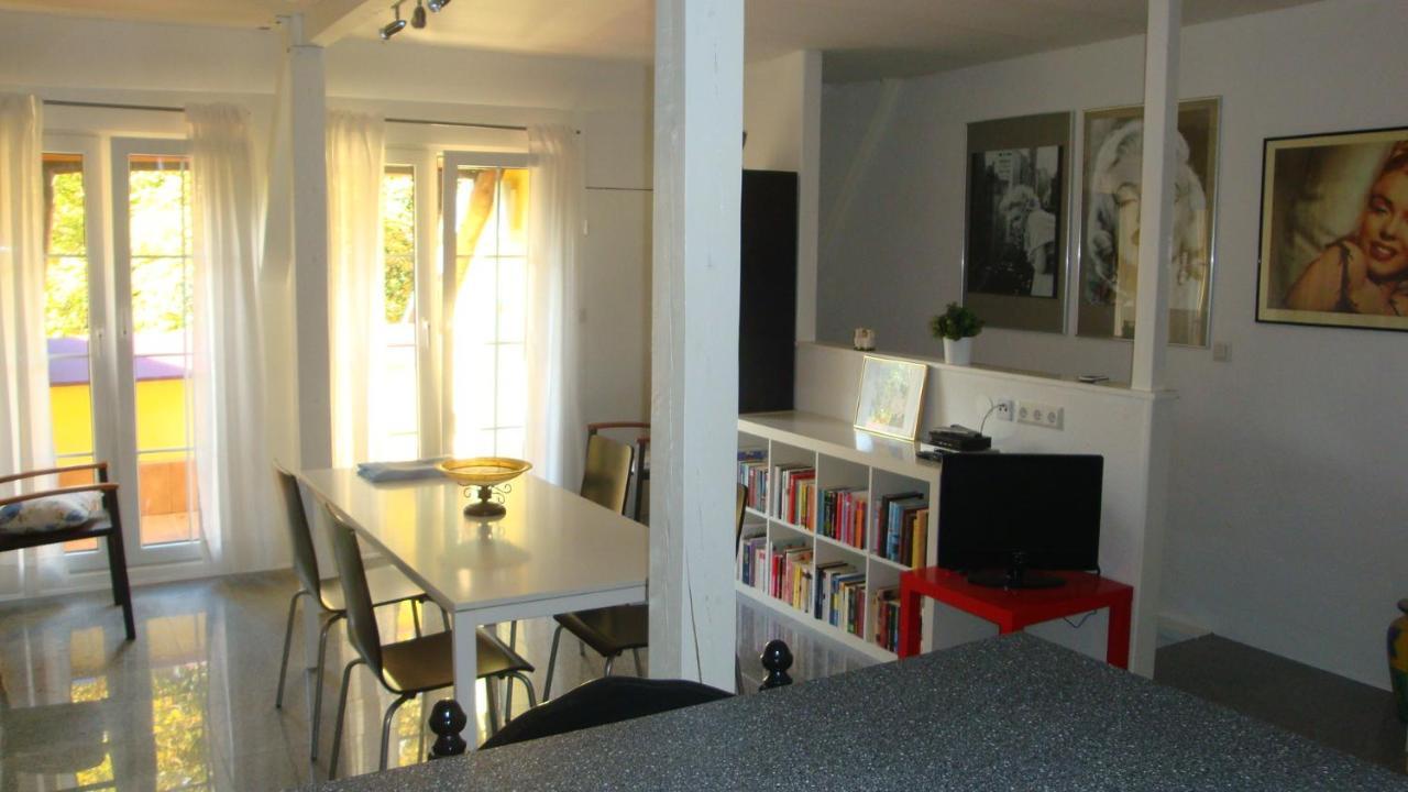 Apartement De Vacances Alsace - Ferienwohnung Elsass - Holiday Apartment Alsace Bischwiller المظهر الخارجي الصورة